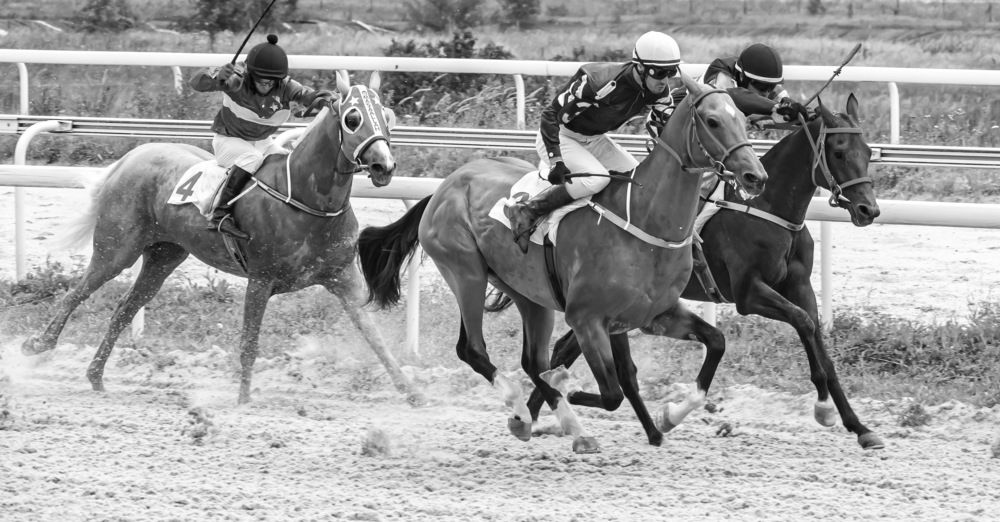 Photograph by Сергей Савчук