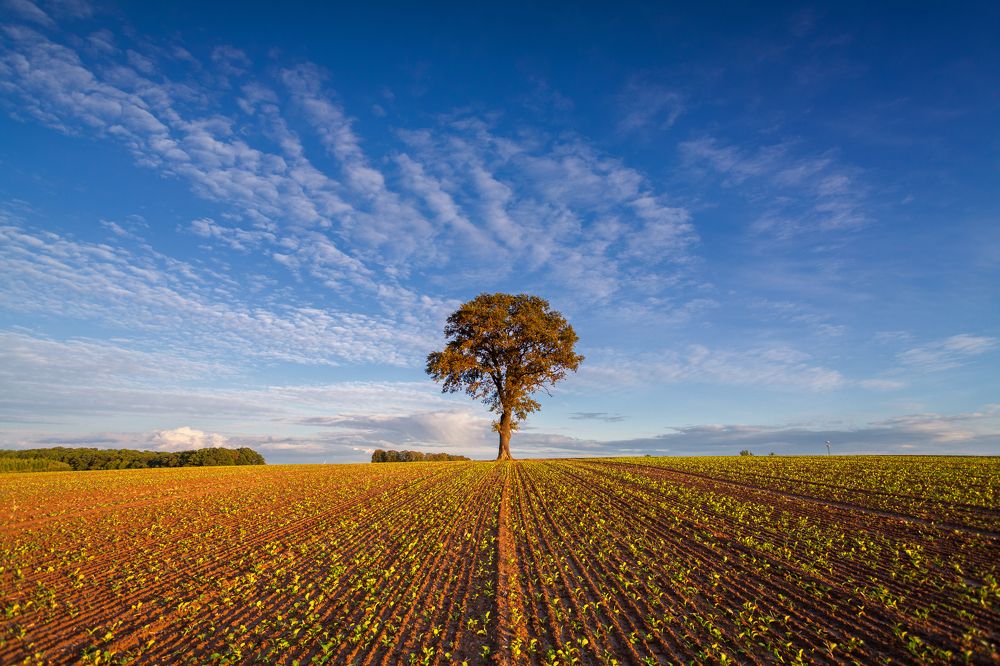 Photograph by Mirosław Pruchnicki