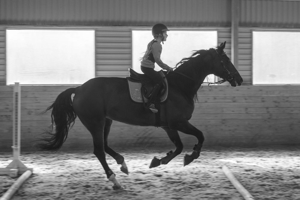 Photograph by Мария Петрова