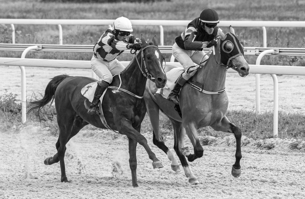 Photograph by Сергей Савчук