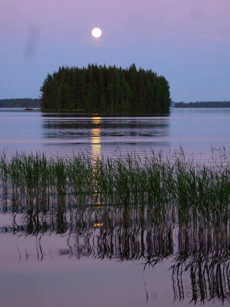 Photograph by Ольга Белик