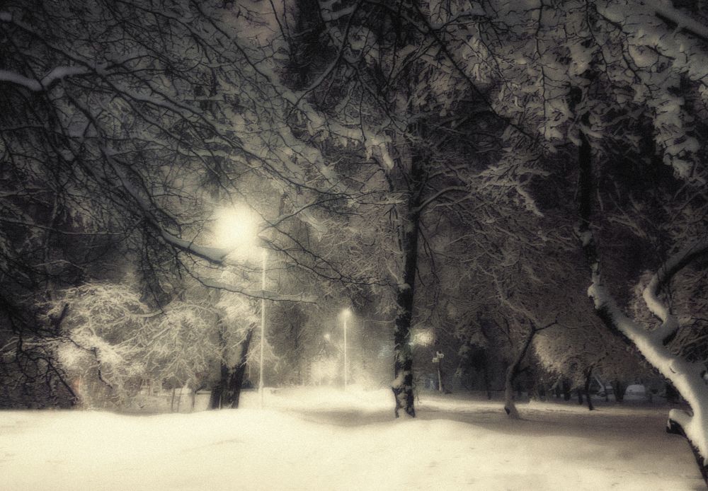 Photograph by Lana Cardi