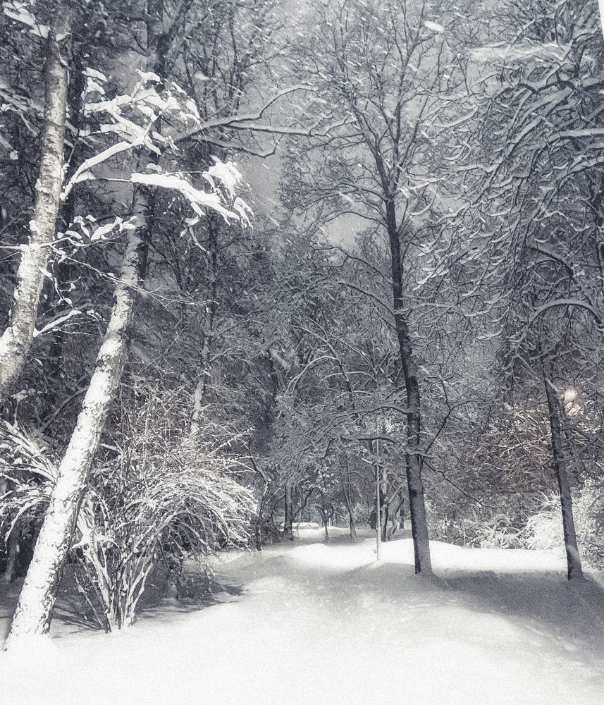 Photograph by Lana Cardi