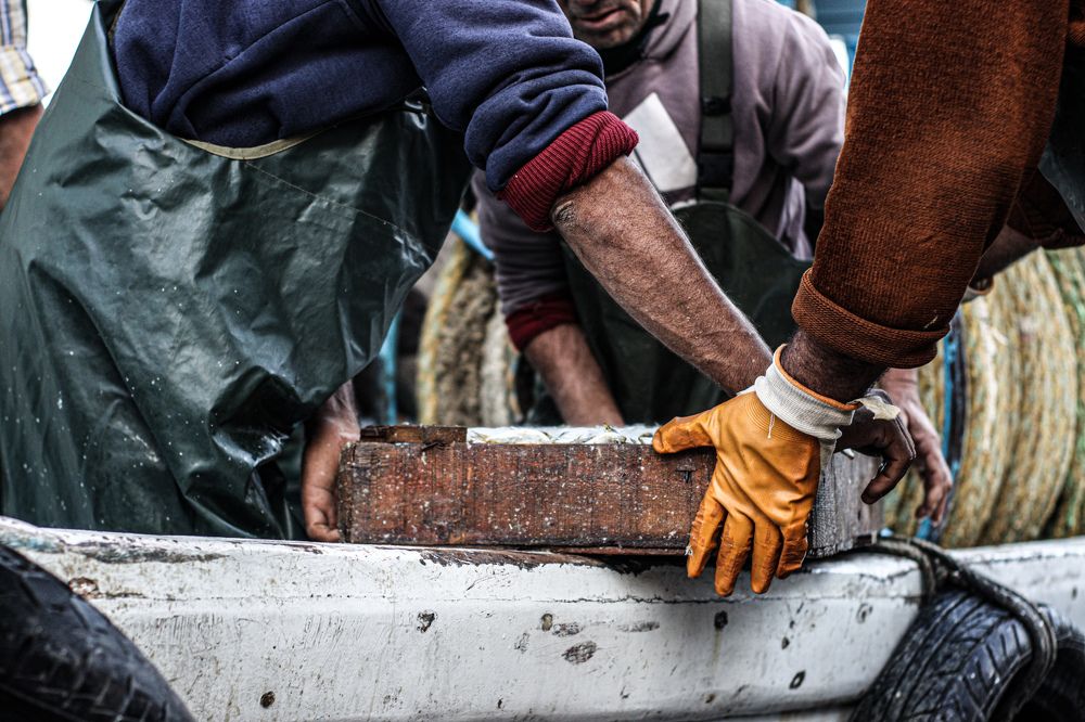 Photograph by Chainez