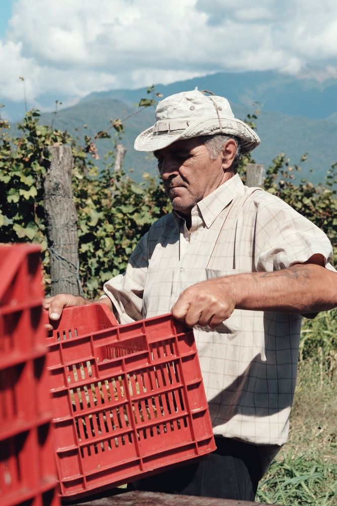 Photograph by Жагорина Анна