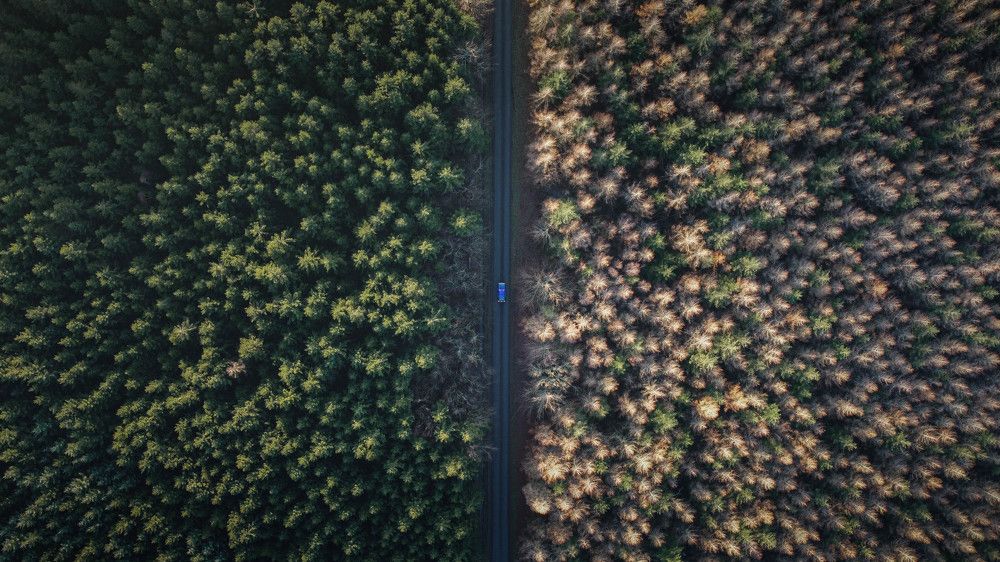 Une photo, deux saisons