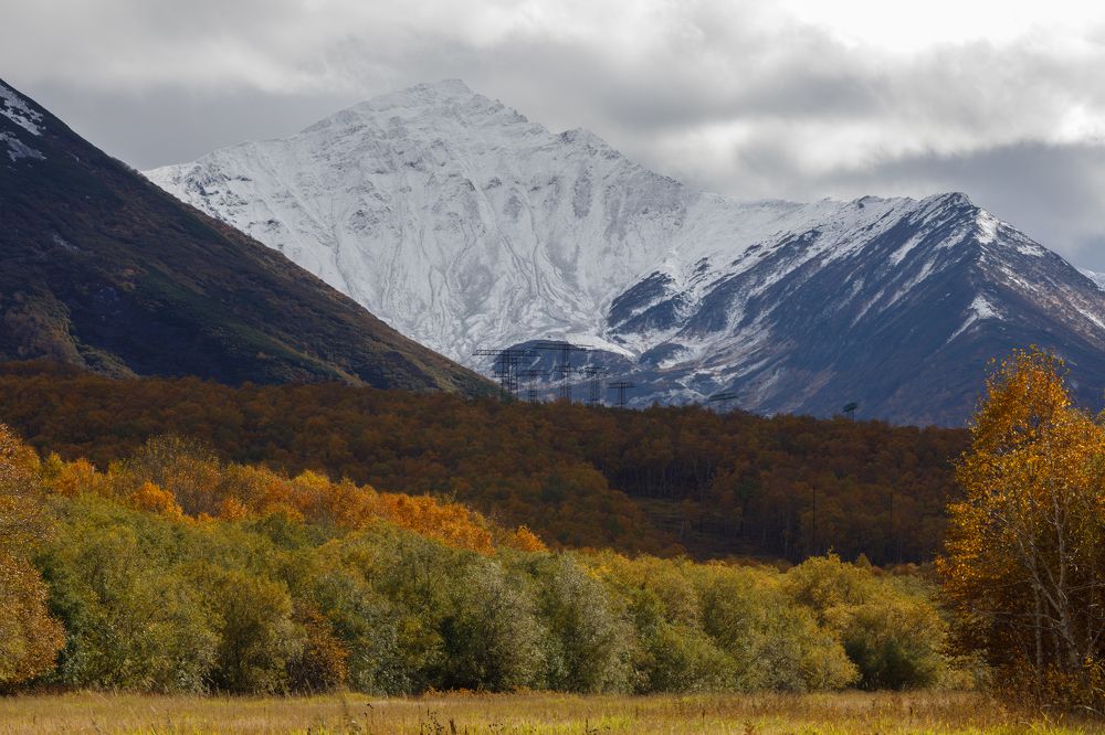 Photograph by Максин Александр