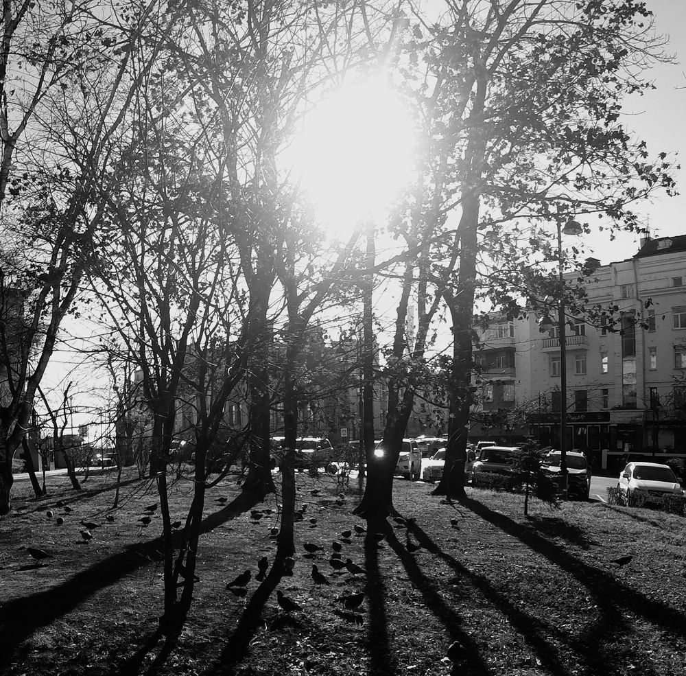 Photo #8569932