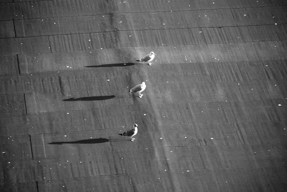 Photograph by Fadeeva Ekaterina