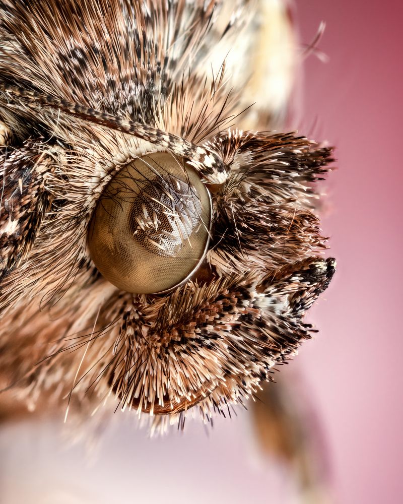 Photograph by Роман Фадеев