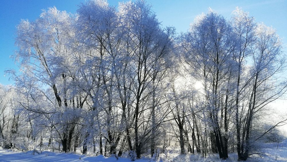 Photograph by Ирина Алпацкая