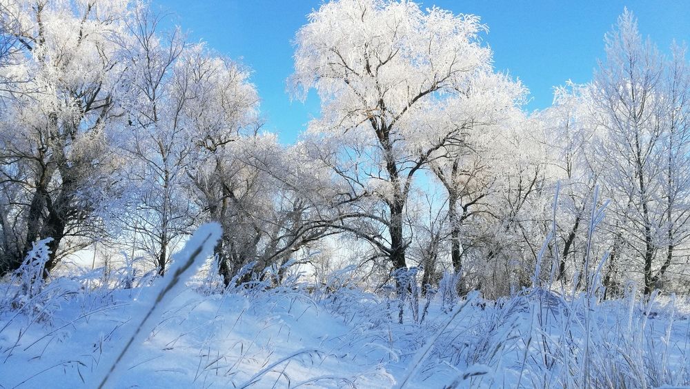 Photograph by Ирина Алпацкая