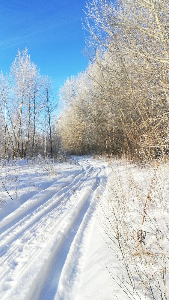 Photograph by Ирина Алпацкая