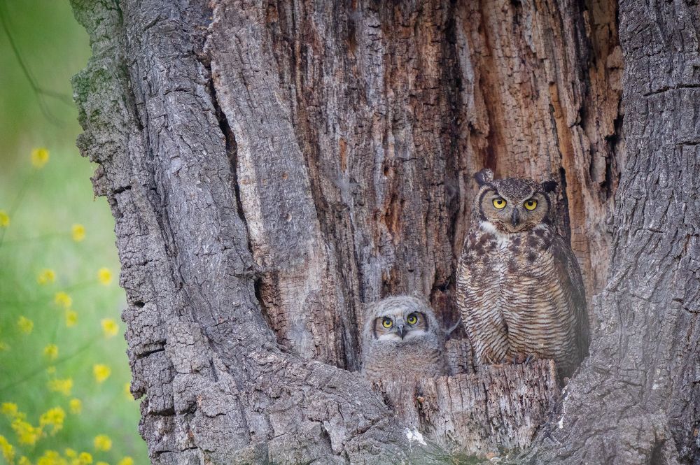 Photograph by Rafael Castaneda Jr