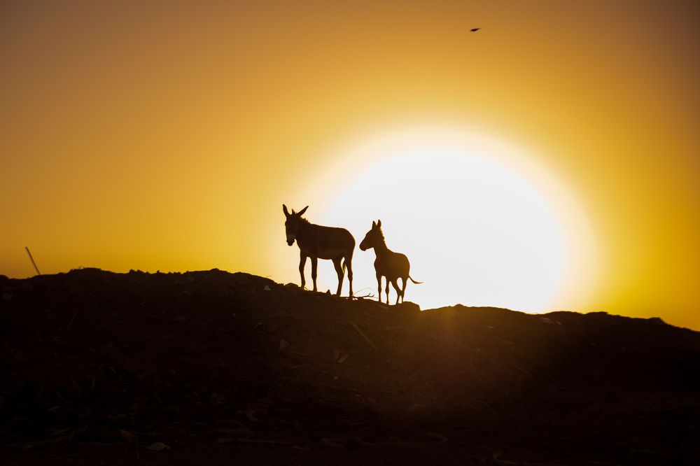 Photograph by Zubair Irshad