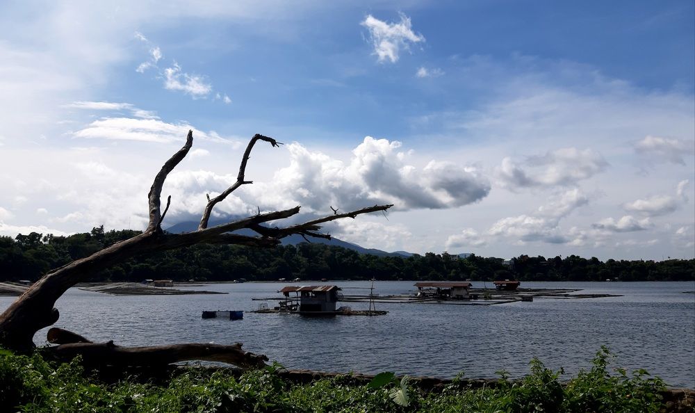 Фотография автора Paul Anton Mahinay