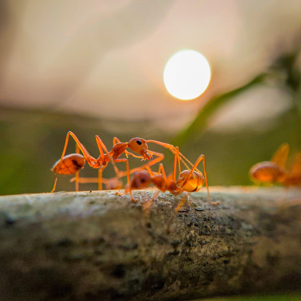 Photograph by Abhilash Sahoo