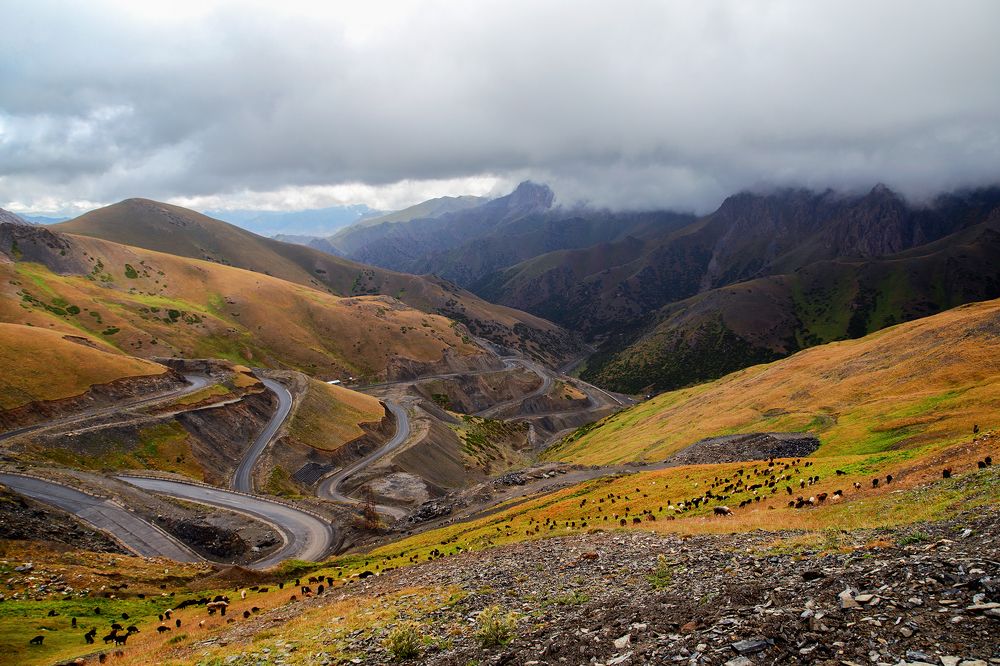 Под облаками
