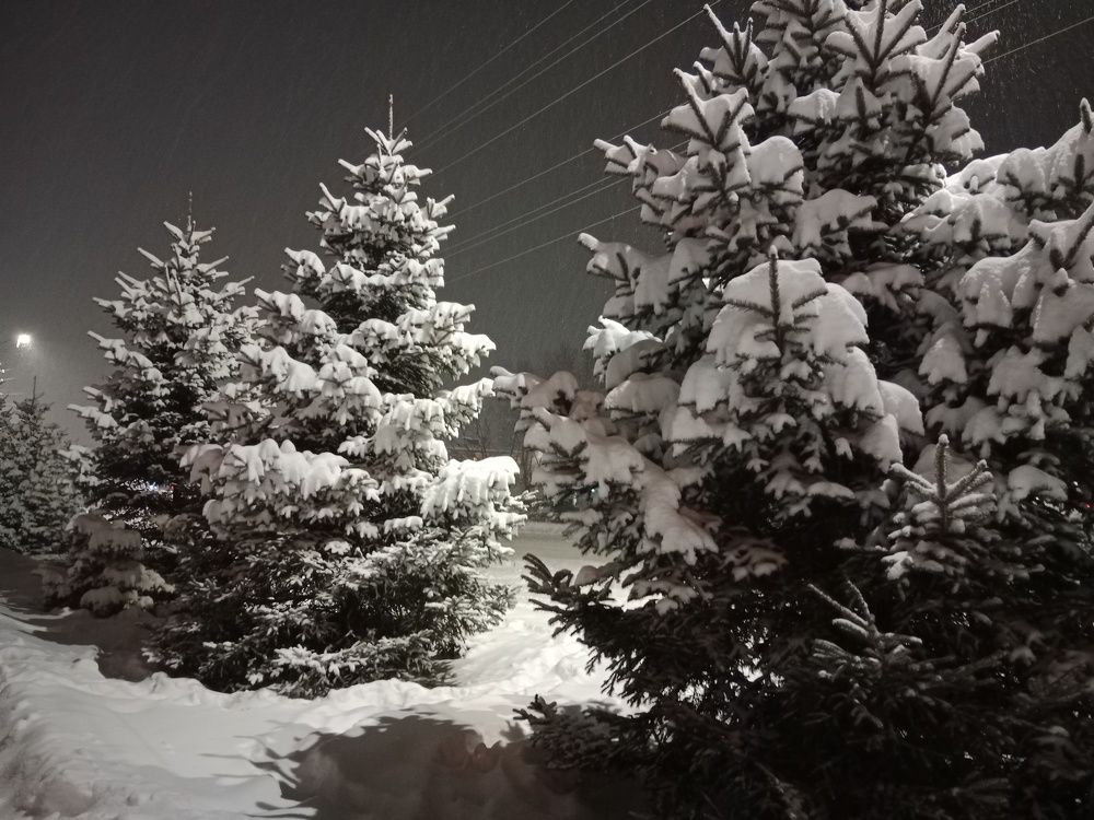 Photo #8570119