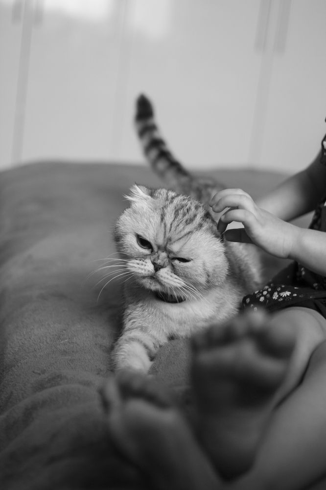 Photograph by Татьяна