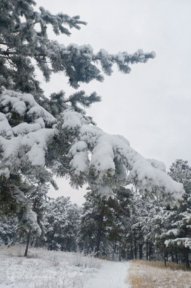Фотография автора Пешков Егор