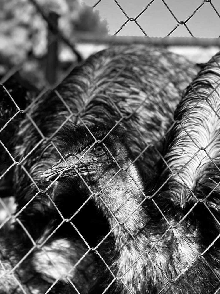 Photograph by Irina Manikova