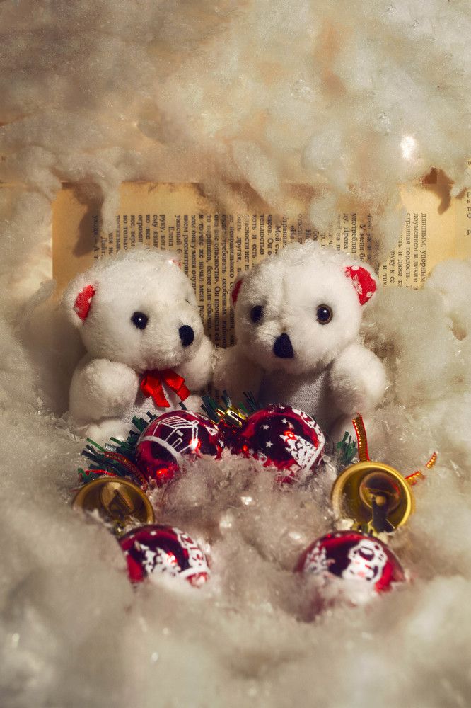 Фотография автора Nikita Gaidarenko