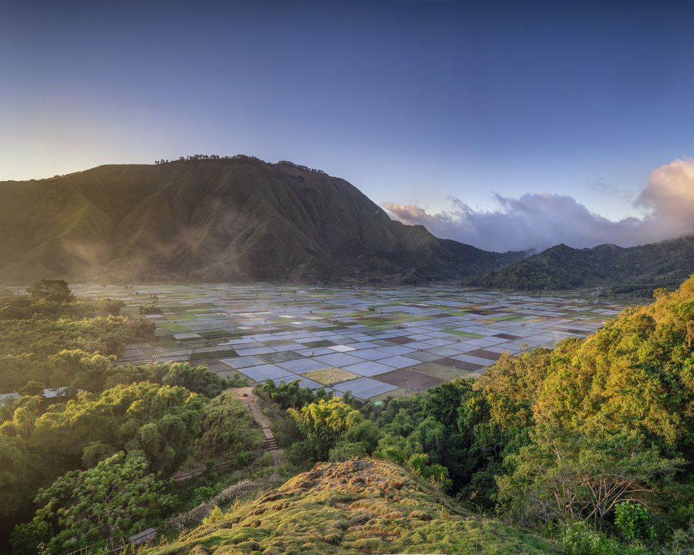 Photograph by Aulia Sandjaja