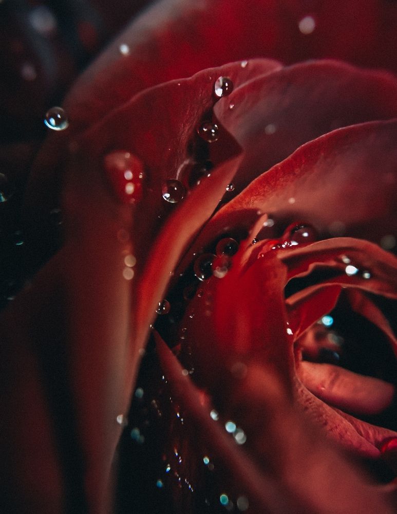 Photograph by Екатерина Савеня