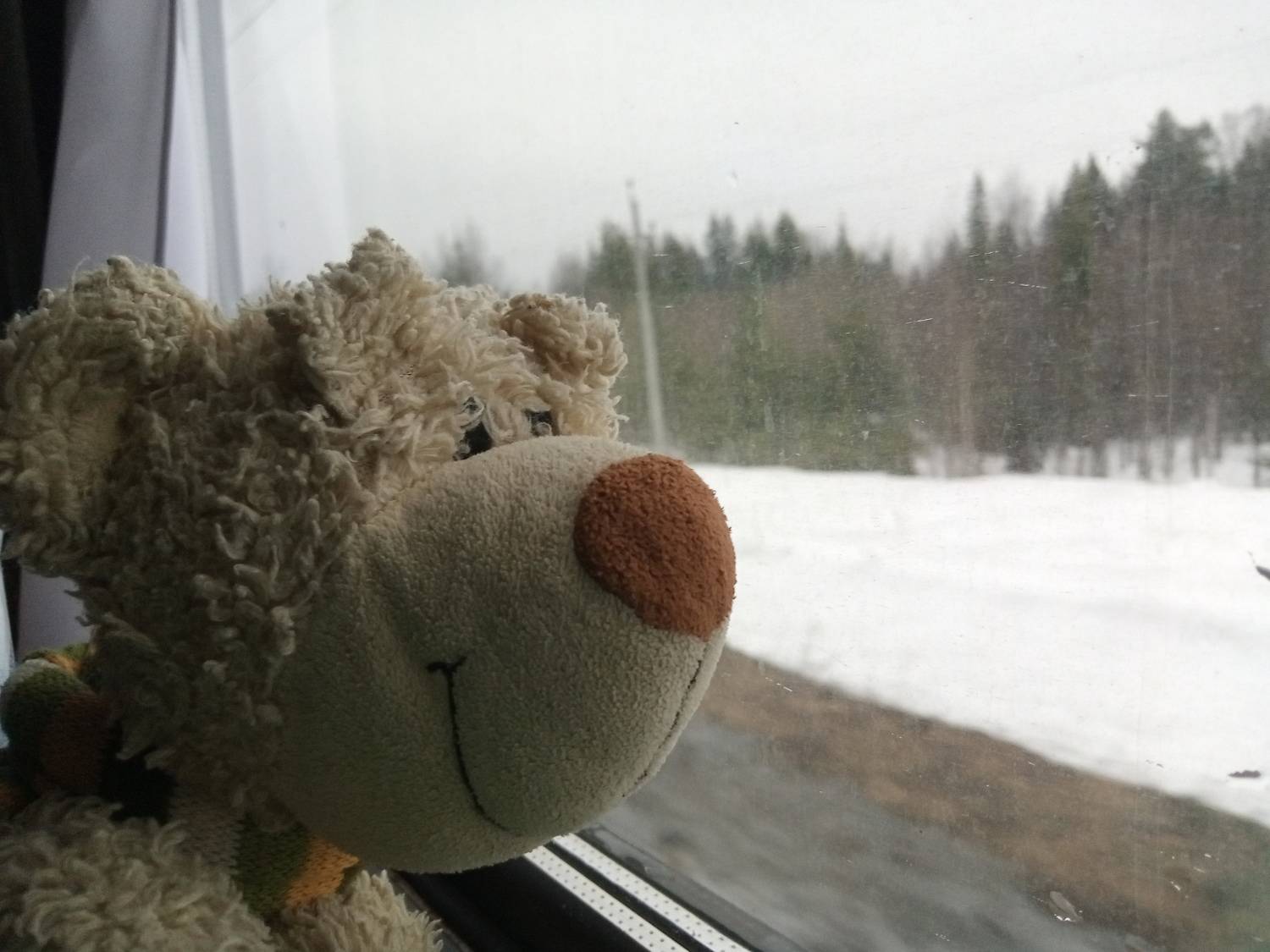 Photo #8570413