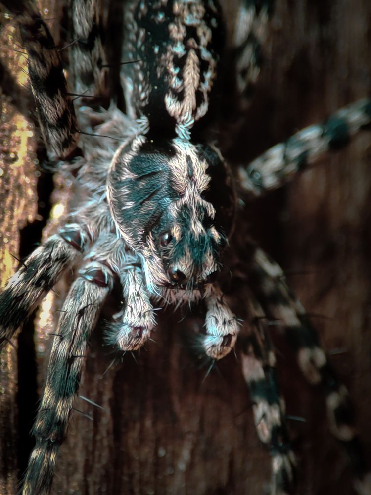 Photograph by Александра Петрова