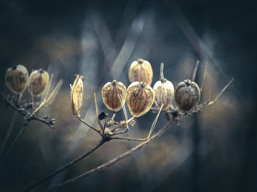 Photograph by Александра Петрова