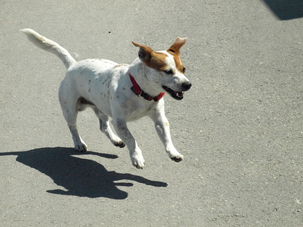 Photograph by Ivana Kolenc