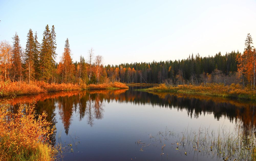 Photograph by Александр Трифанов