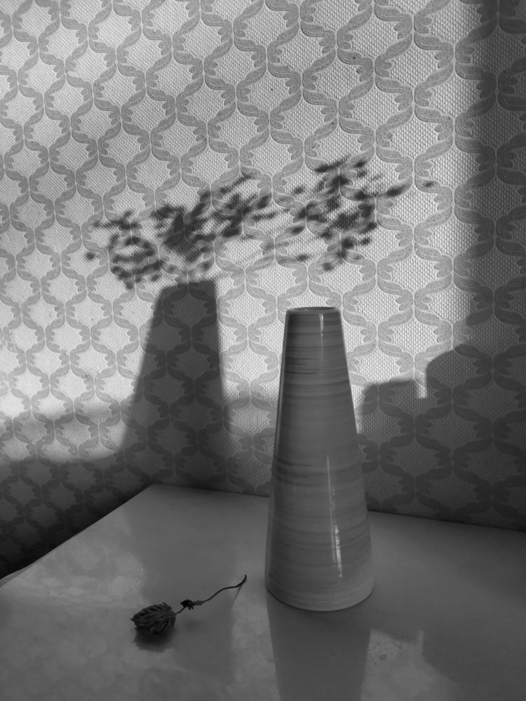 Photograph by Надежда Закирова