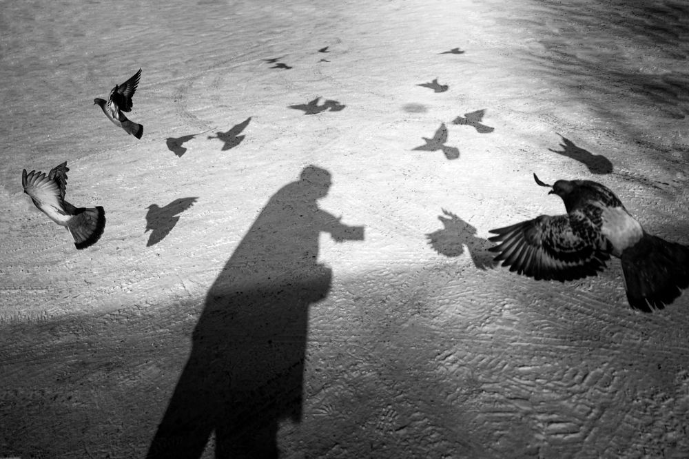 Photograph by Максим Шарыгин