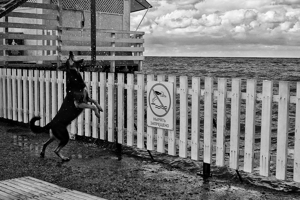 Photograph by Наталья Сафронова