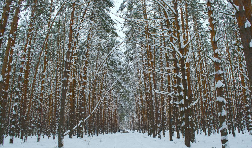 Photograph by Юрий Яценик