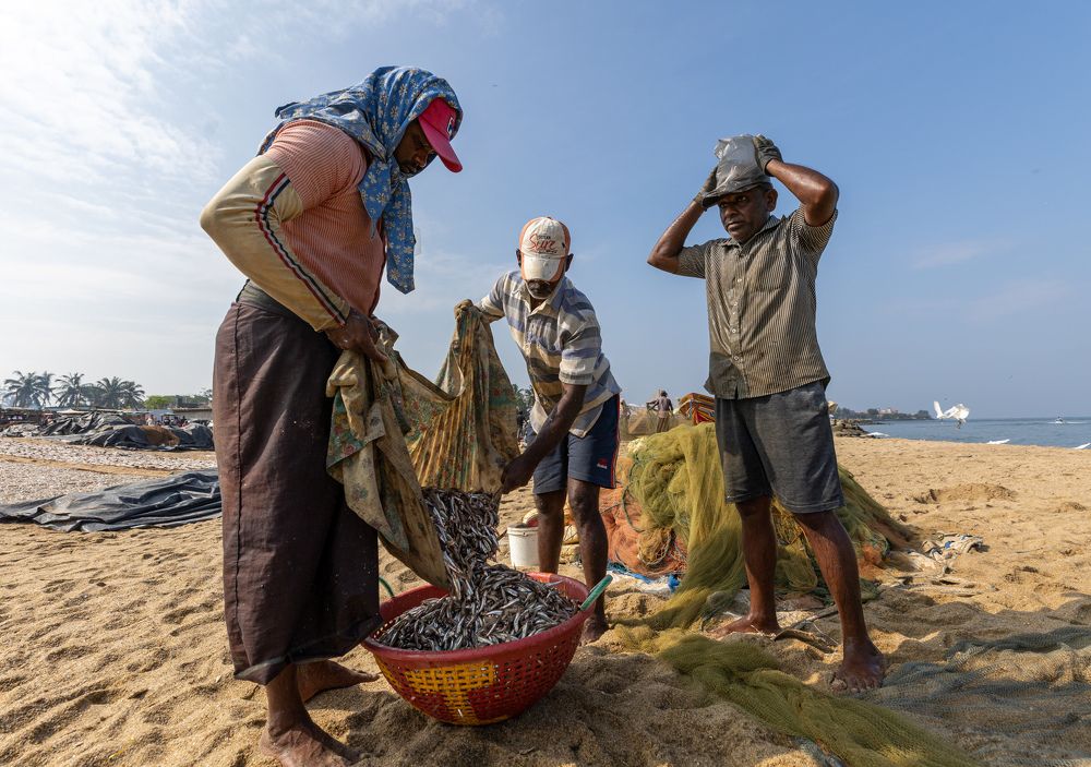 Photograph by Umesh Ranasinghe