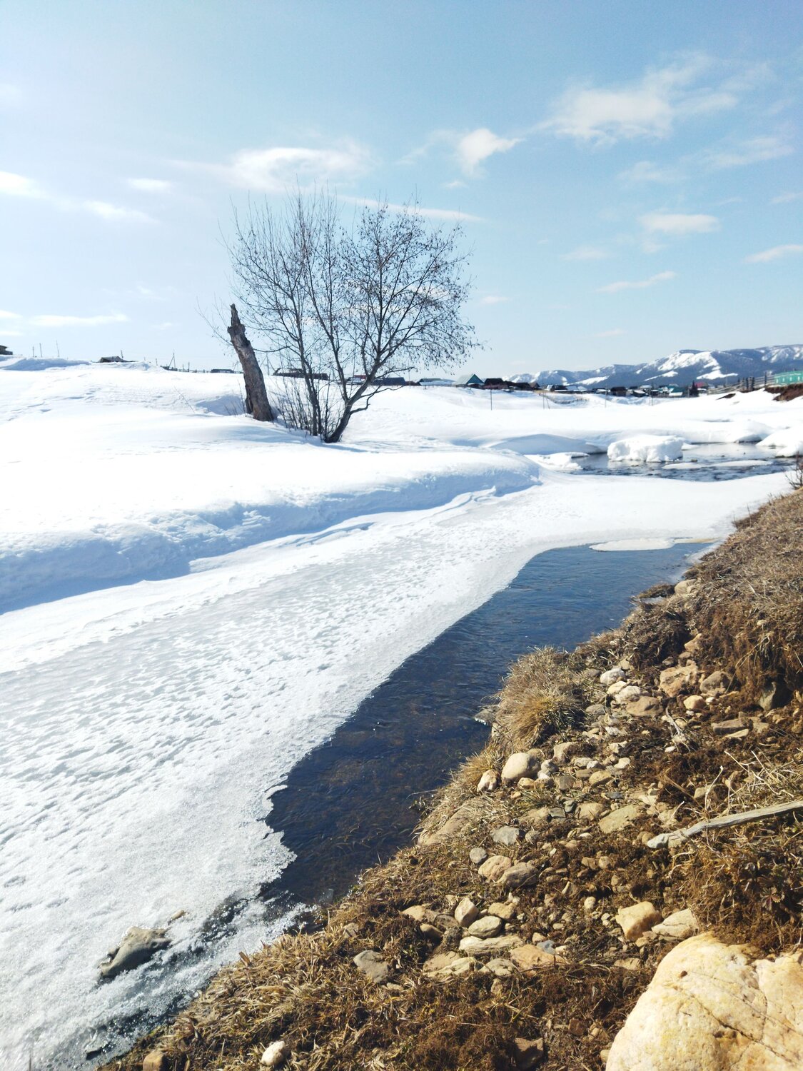 Photo #8570740