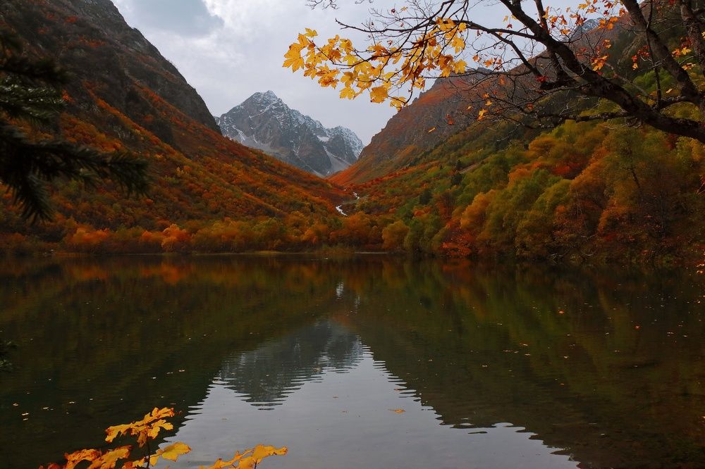 "Спокойствие"