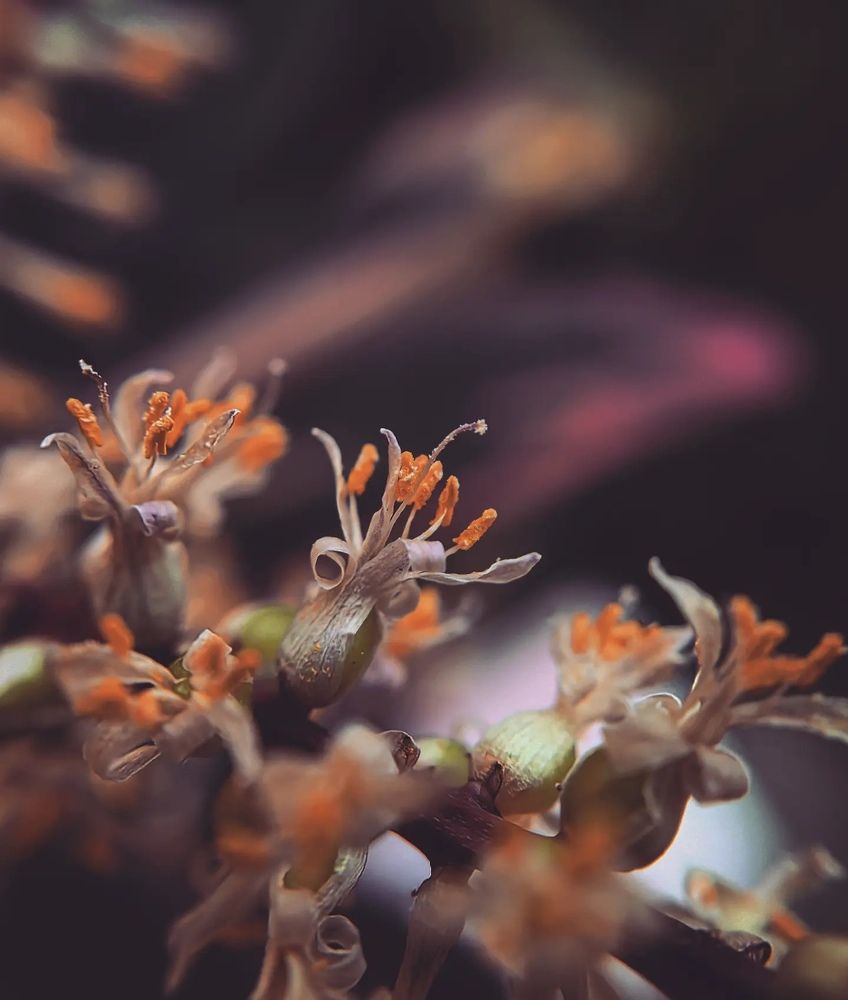 Фотография автора Юра Кладухин