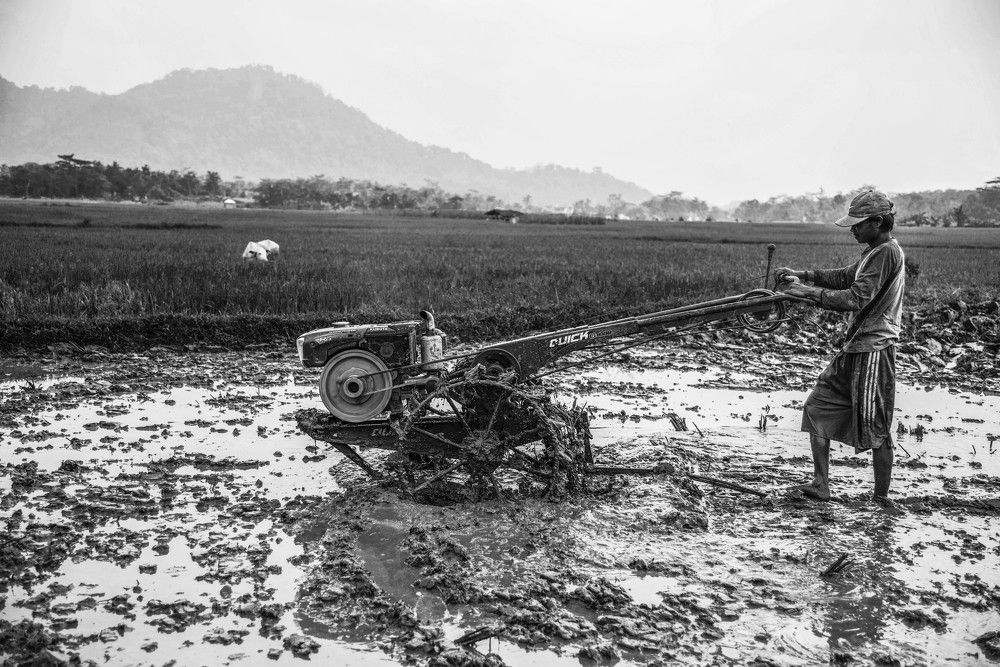 Paddy field tractor operator