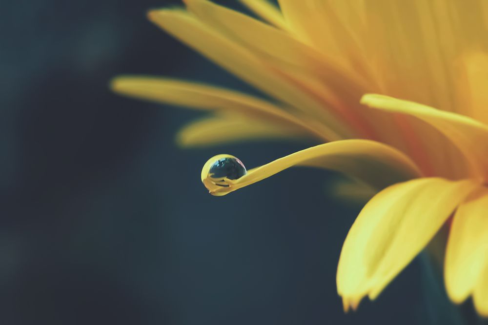 Photograph by NGUYEN LIEN