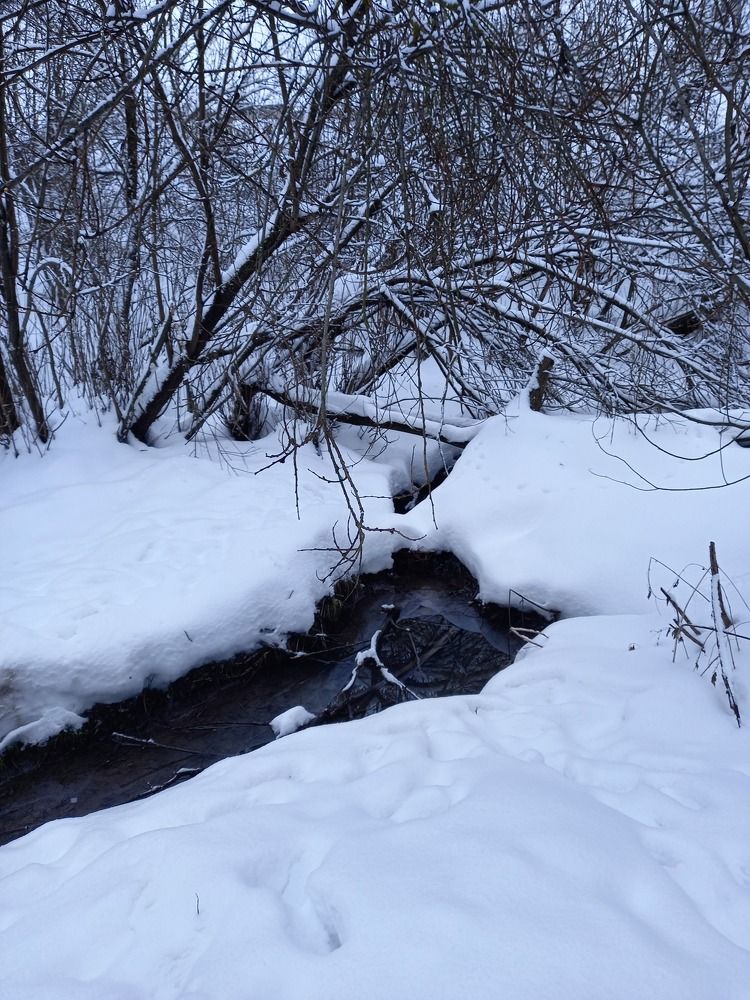 Photograph by Ольга Юрченко