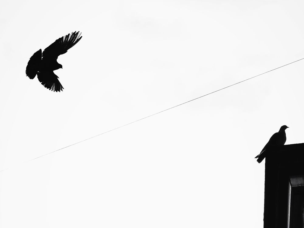 Photograph by Марина Хохрякова