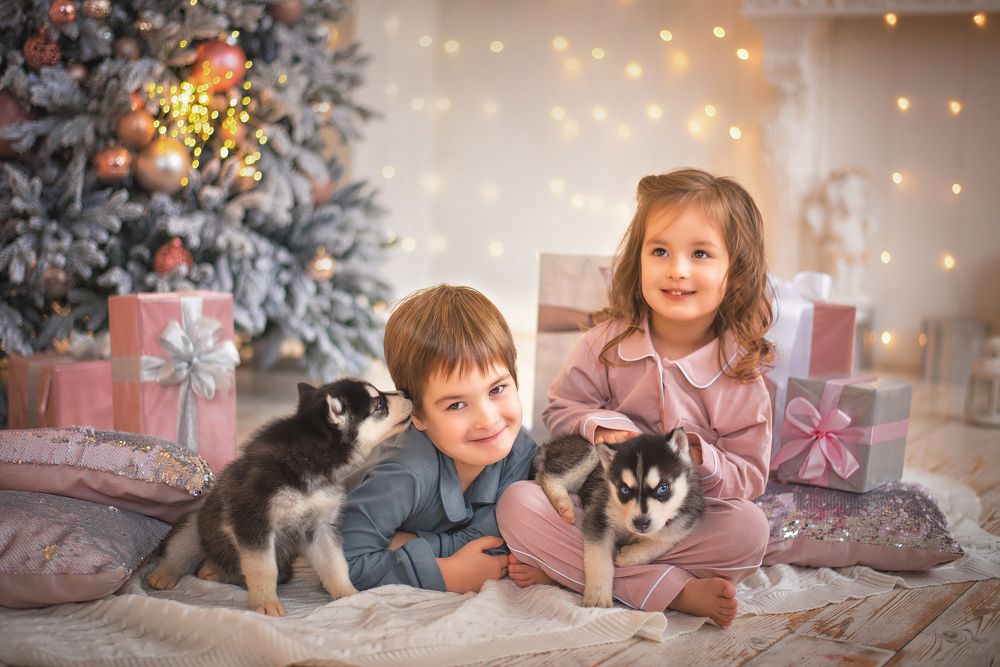 Photograph by Ипполитова Анастасия