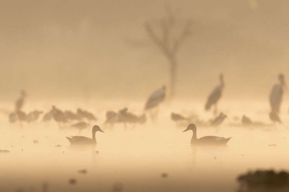 Photograph by Prathik