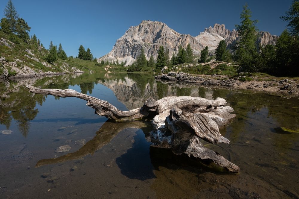 Photograph by Petr Kovar