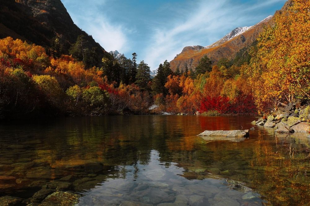 "Зеркало, обращённое к небу"
